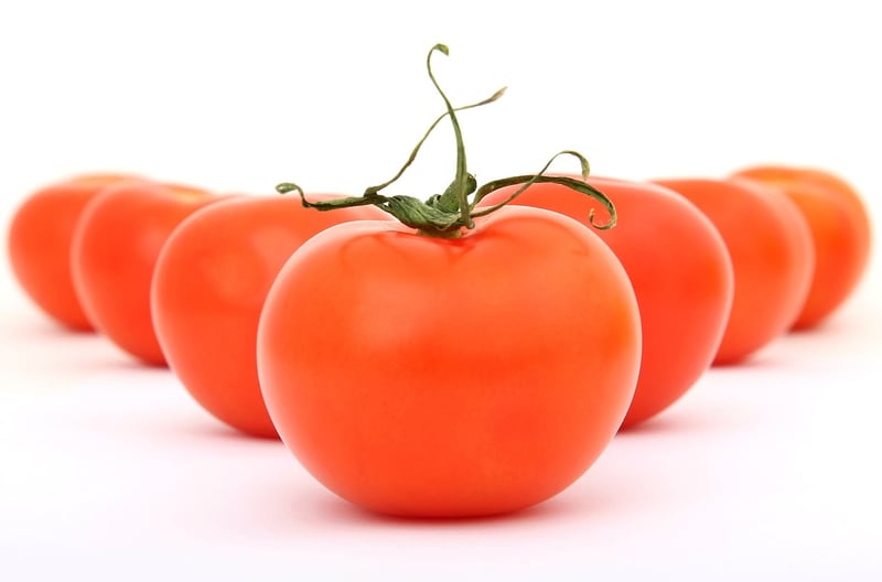 Fresh and Wholesome Ingredients